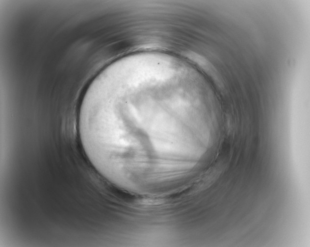 X0000088831274200706211808