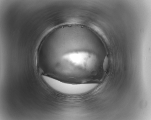 X0000088831275200706211808