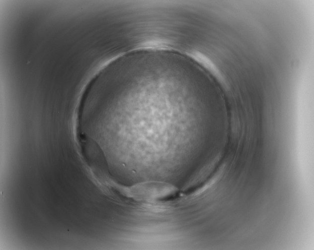 X0000088831277200706211808