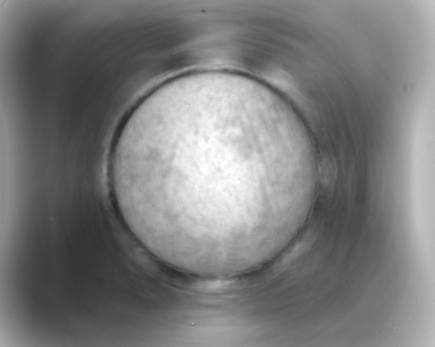 X0000088831278200706211808