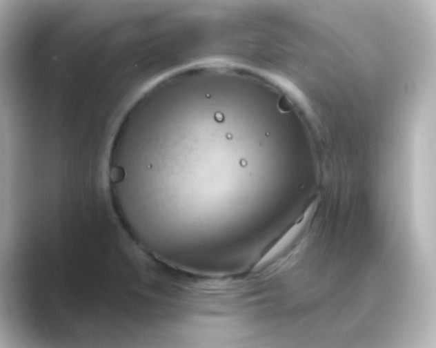 X0000088831279200706211808