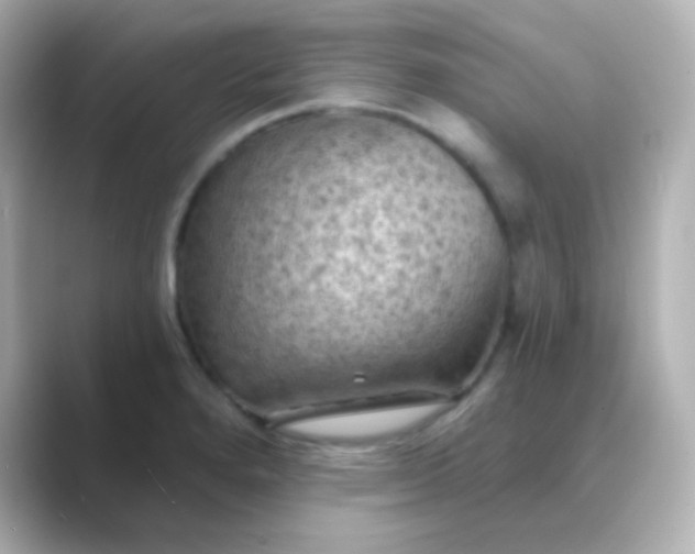 X0000088831280200706211808