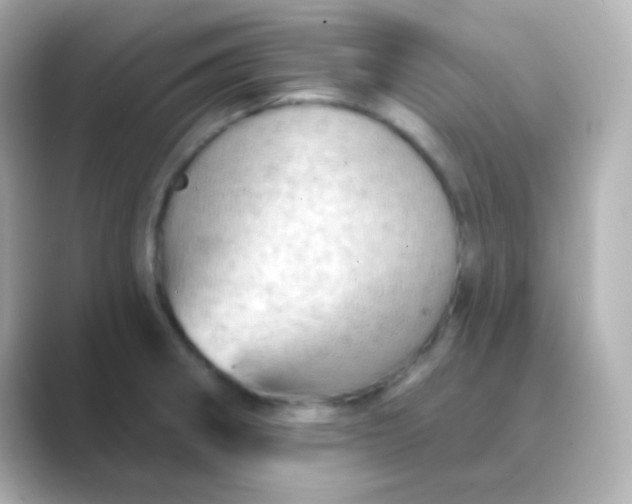 X0000088831282200706211808