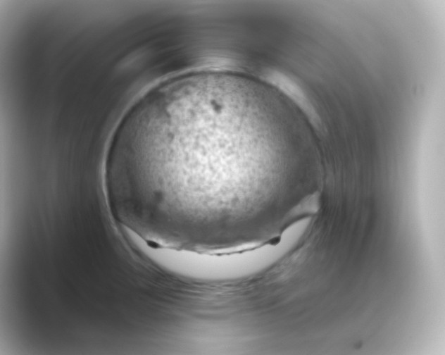 X0000088831283200706211808