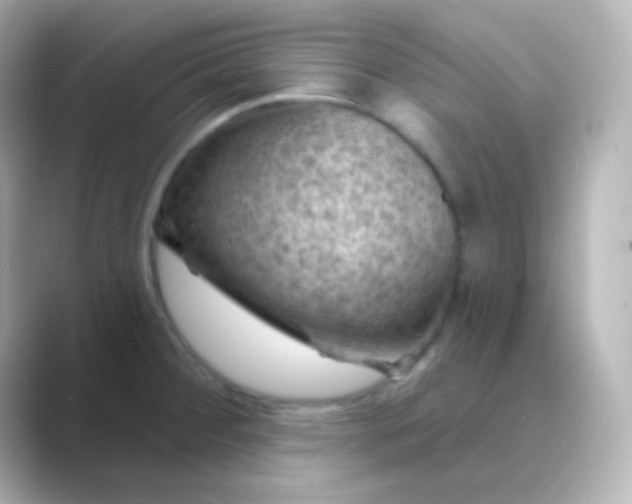 X0000088831284200706211808