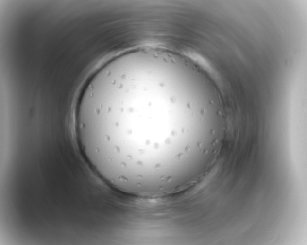 X0000088831286200706211808