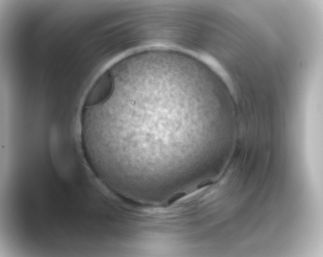 X0000088831287200706211808