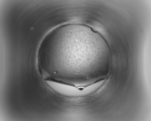 X0000088831288200706211808