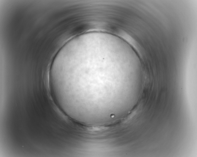 X0000088831290200706211808