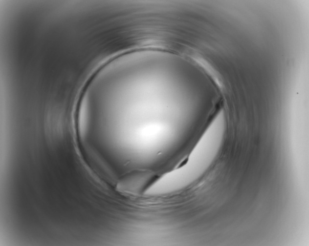 X0000088831291200706211808