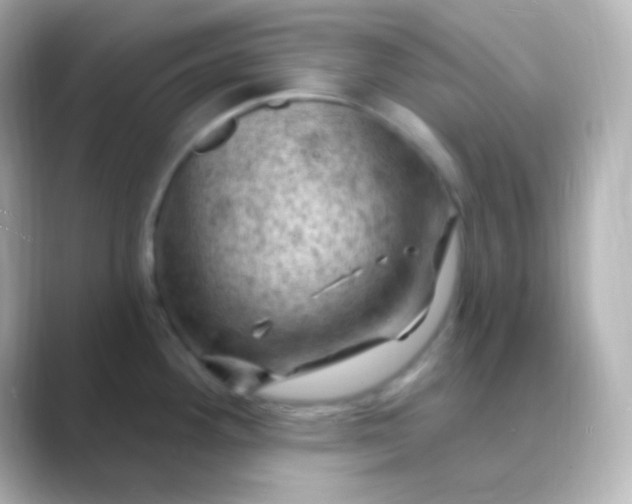 X0000088831292200706211808