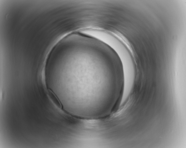 X0000088831293200706211808