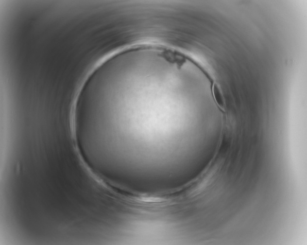 X0000088831295200706211808