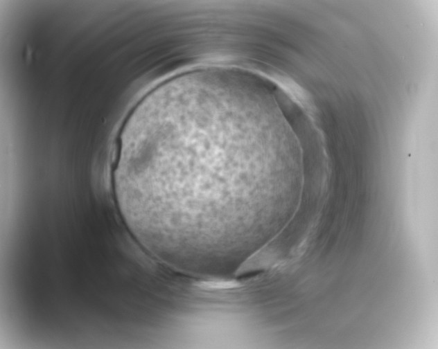 X0000088831296200706211808