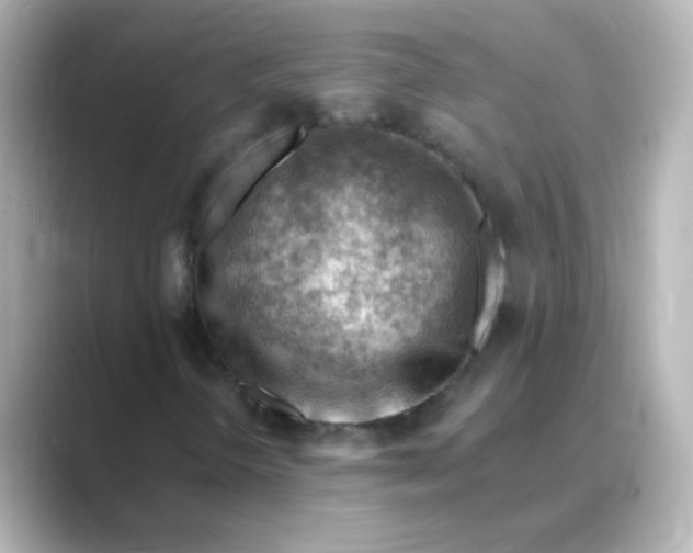 X0000088831298200706211807