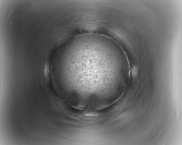 X0000088831299200706211807