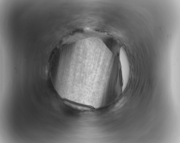 X0000088831300200706211807