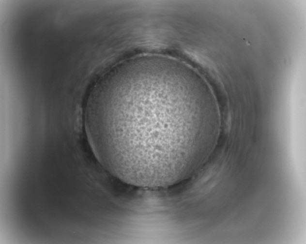 X0000088831301200706211807