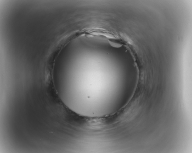 X0000088831303200706211807