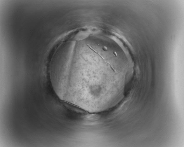 X0000088831304200706211807