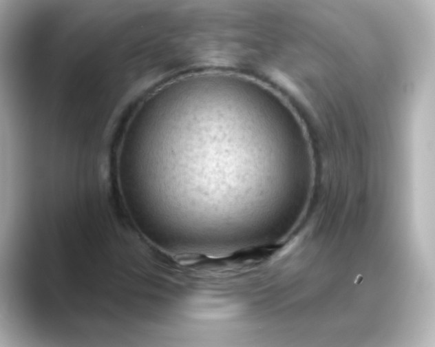 X0000088831307200706211807