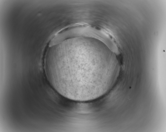 X0000088831308200706211807