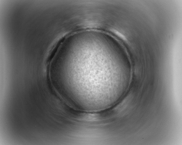 X0000088831309200706211807