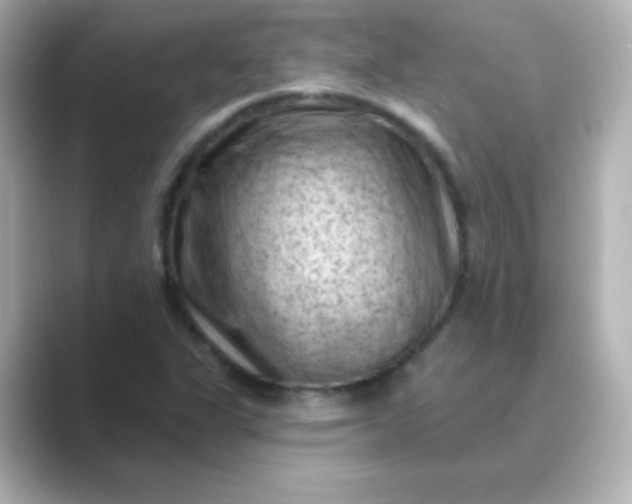 X0000088831311200706211807