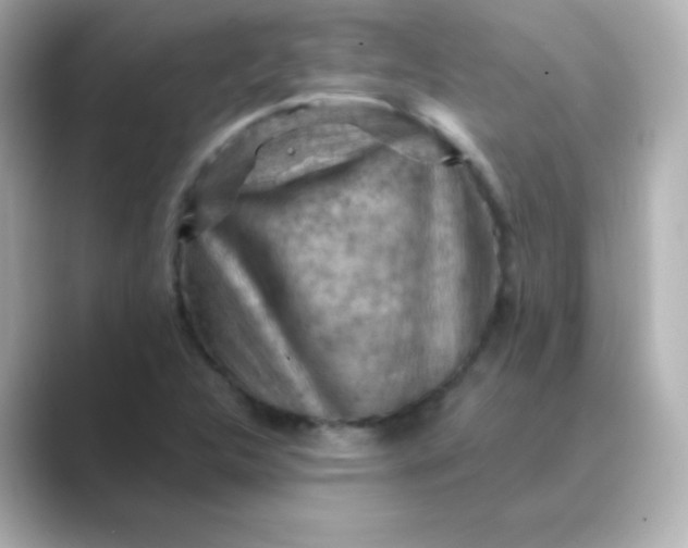 X0000088831312200706211808