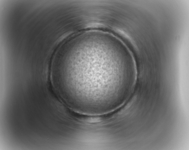 X0000088831313200706211808