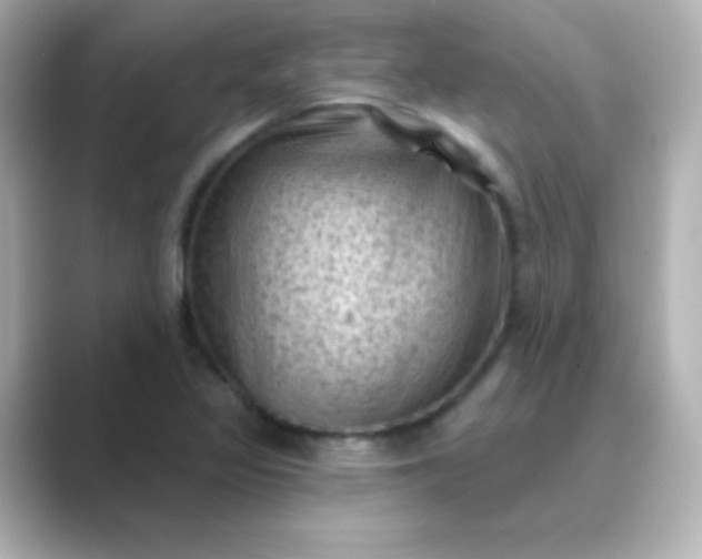 X0000088831317200706211808