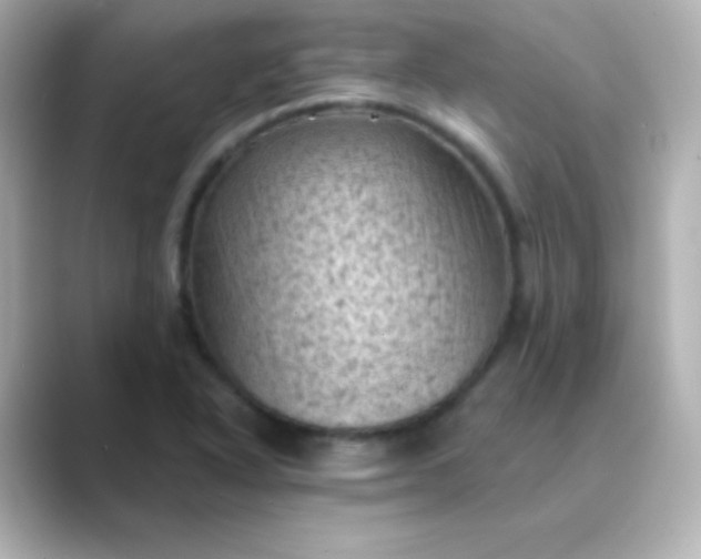 X0000088831318200706211808