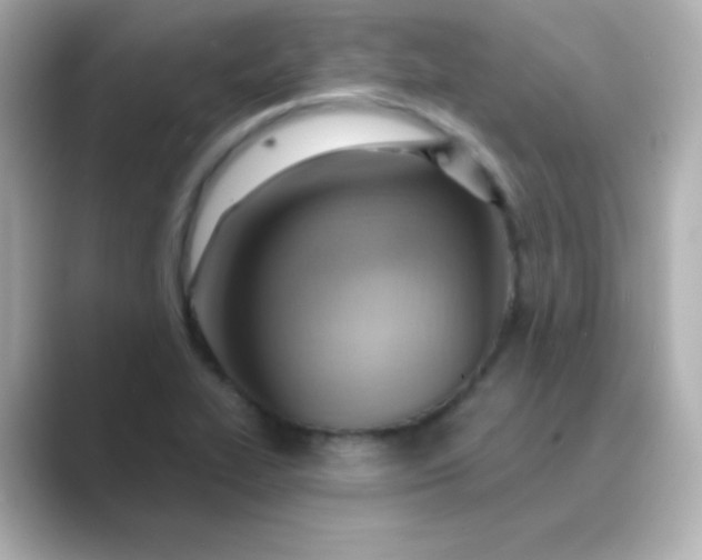 X0000088831319200706211808