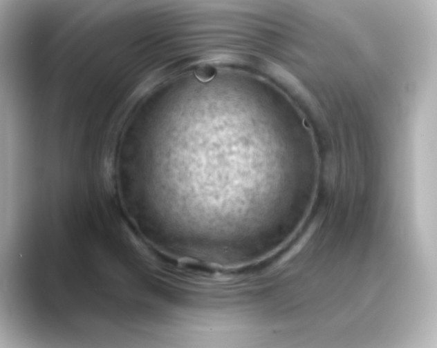 X0000088831321200706211808