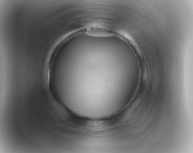 X0000088831323200706211808