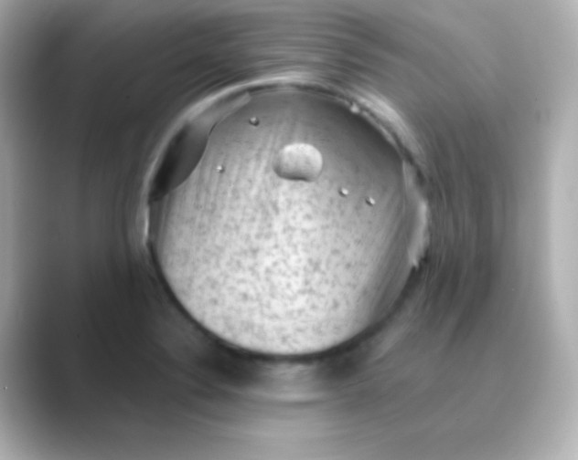 X0000088831324200706211808