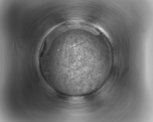 X0000088831325200706211808