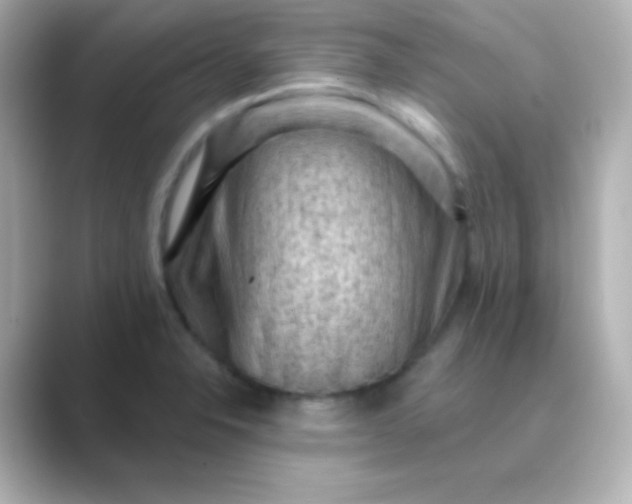 X0000088831326200706211808