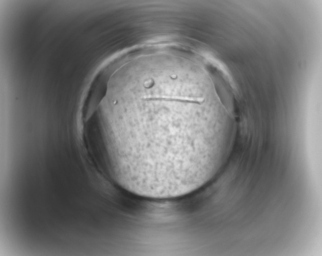 X0000088831328200706211808