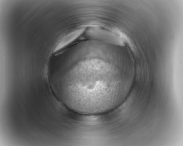 X0000088831329200706211808