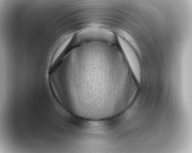 X0000088831330200706211808