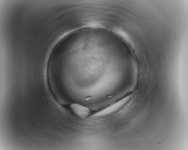 X0000088831331200706211808