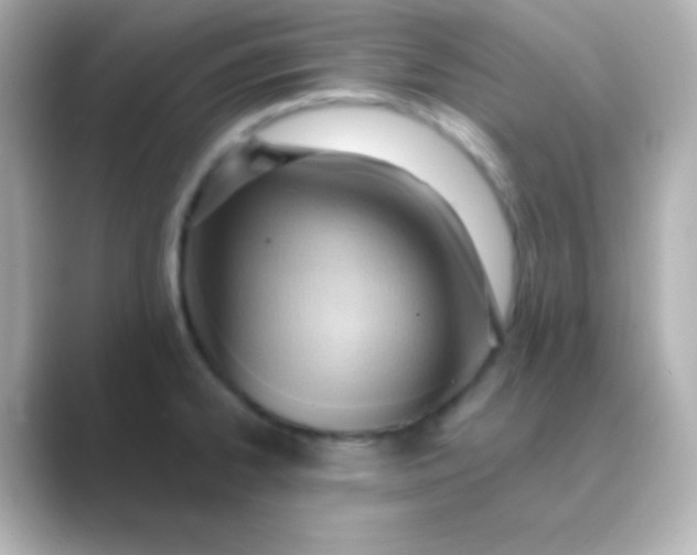 X0000088831334200706211808