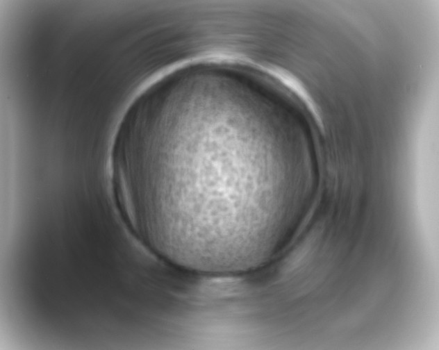 X0000088831335200706211808