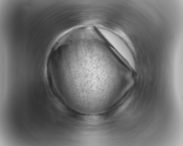 X0000088831336200706211808