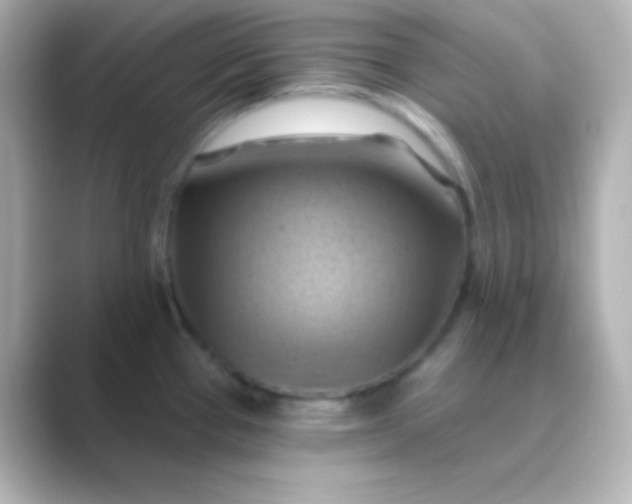 X0000088831337200706211808