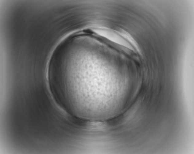 X0000088831339200706211808