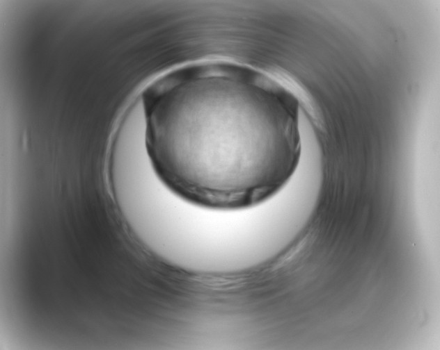 X0000088831340200706211808