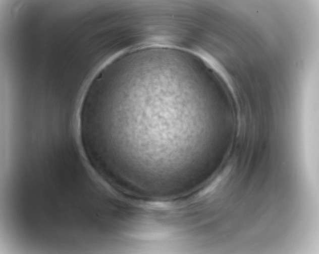 X0000088831341200706211808