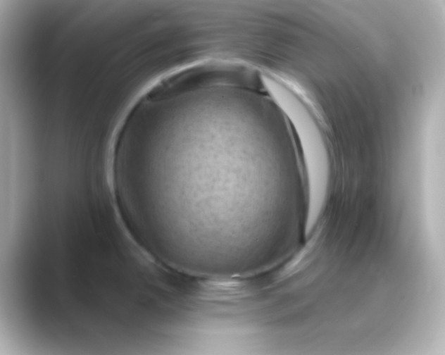 X0000088831342200706211808